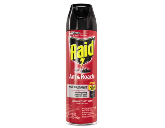 RAID® ANT & ROACH - OUTDOOR FRESH